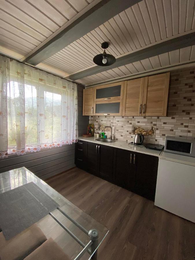 Кришталеві Вершини Villa Vorochta Exteriör bild